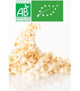 Pop Corn salé BIO vrac 4,2 kg