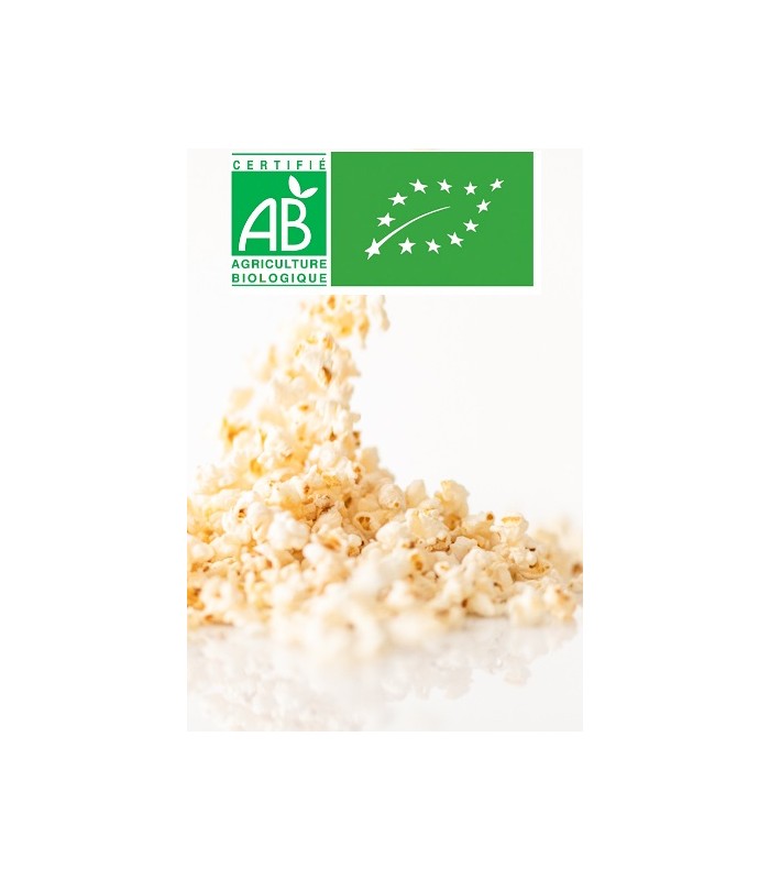 Pop Corn Artisanal BIO Salé En Vrac 4.2 kg